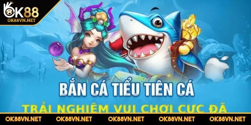 ban-ca-tieu-tien-ca-quy-tac